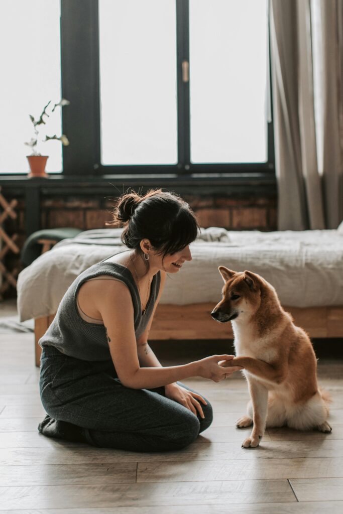 pet communication near me