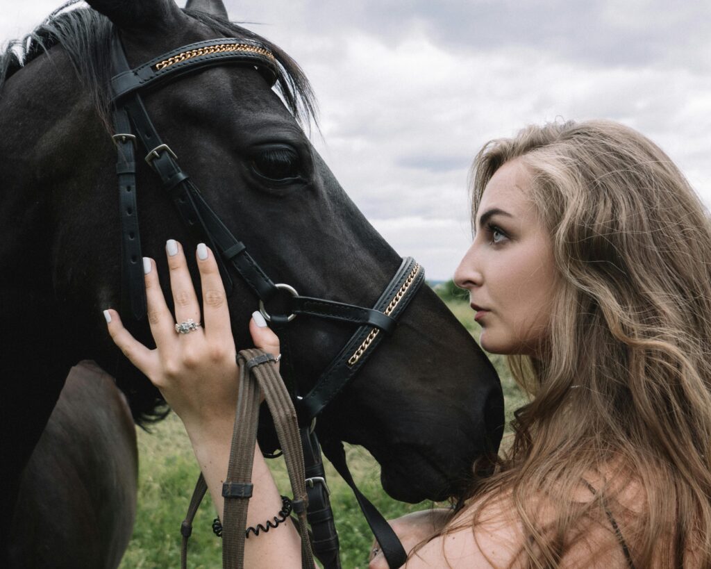 reiki for horses