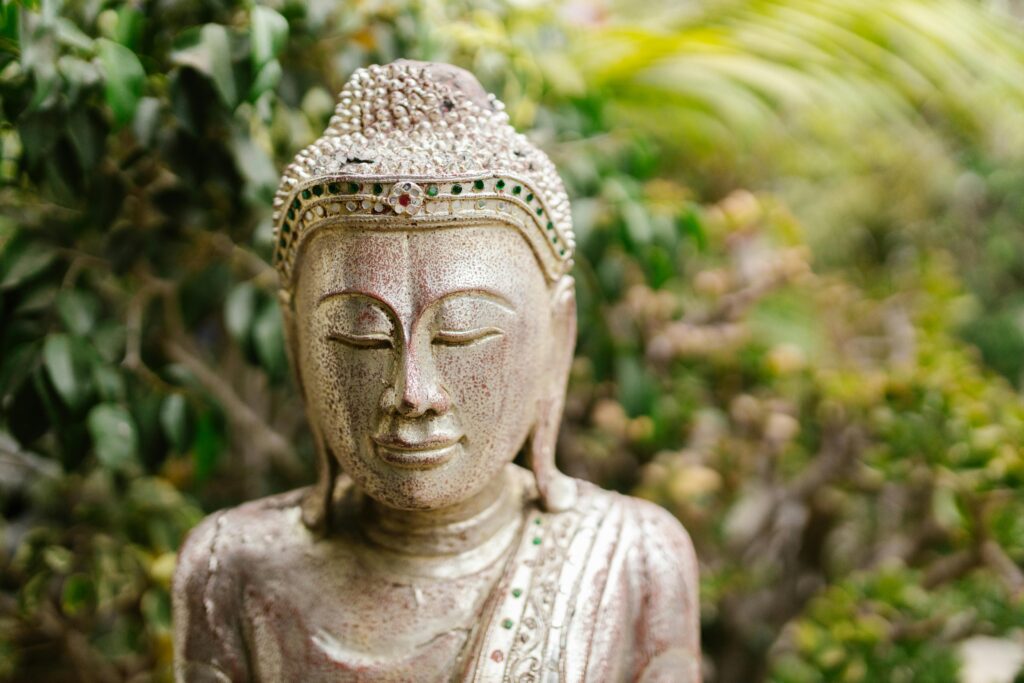 Holistic healing Boulder wellness session
