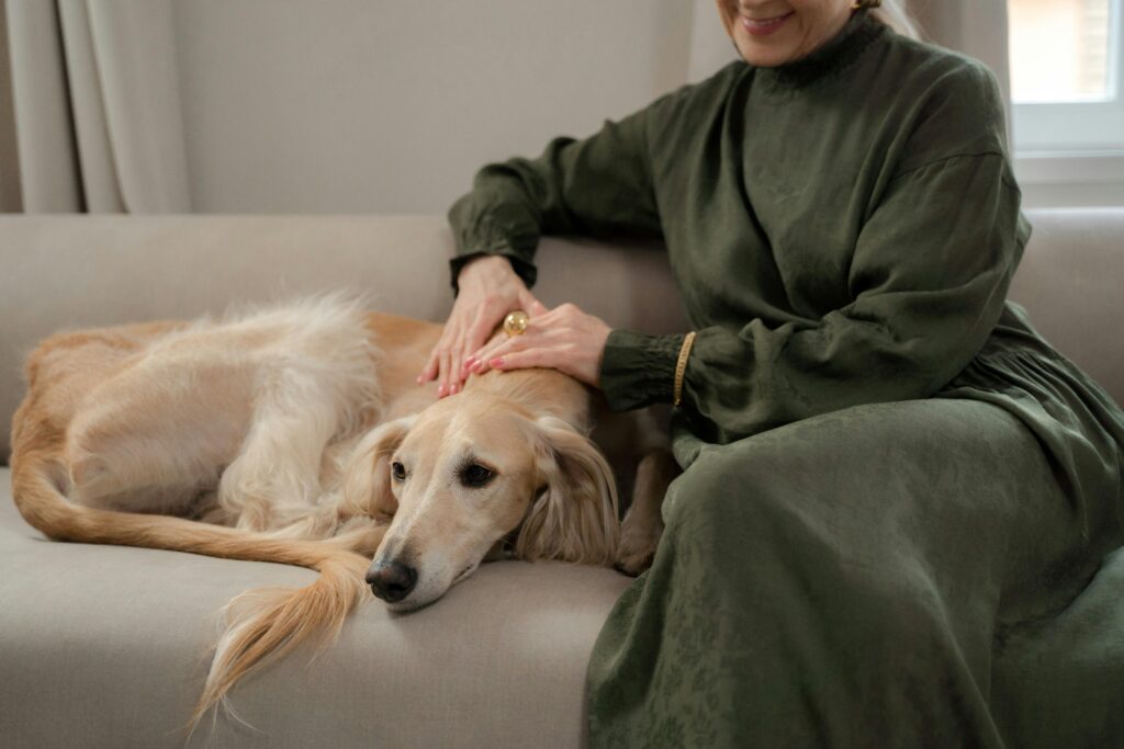 Pet communication session helping understand dog behavior and emotions