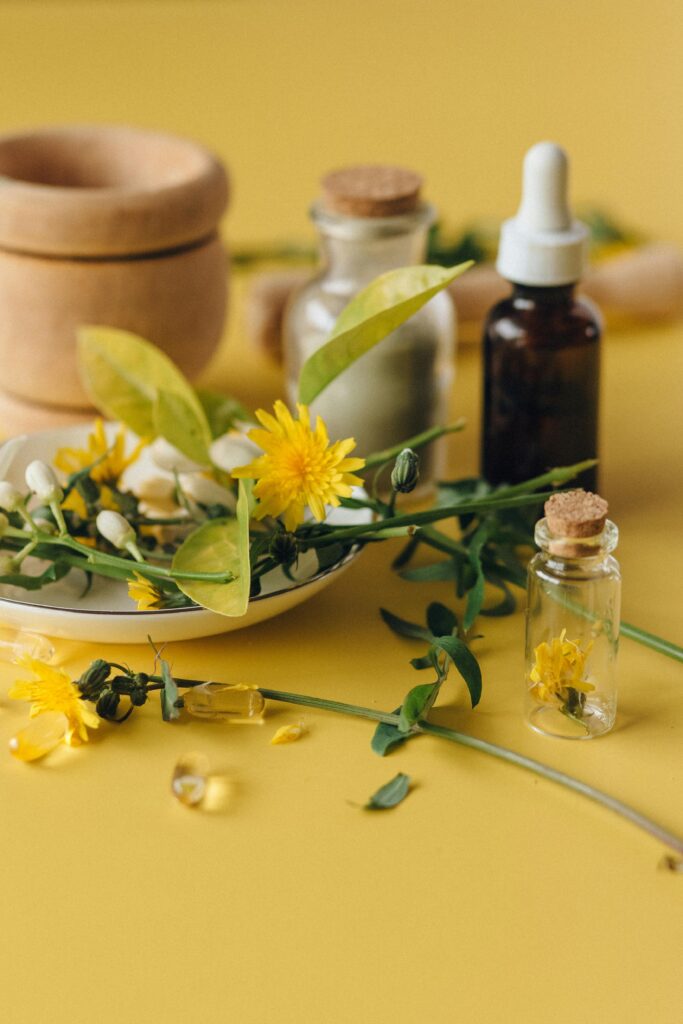  Plant medicine herbal practice using natural remedies and plant-based healing